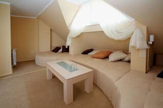 Отель Family Hotel Diana София Люкс-3