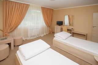 Отель Family Hotel Diana София Двухместный номер с 1 кроватью или 2 отдельными кроватями-5